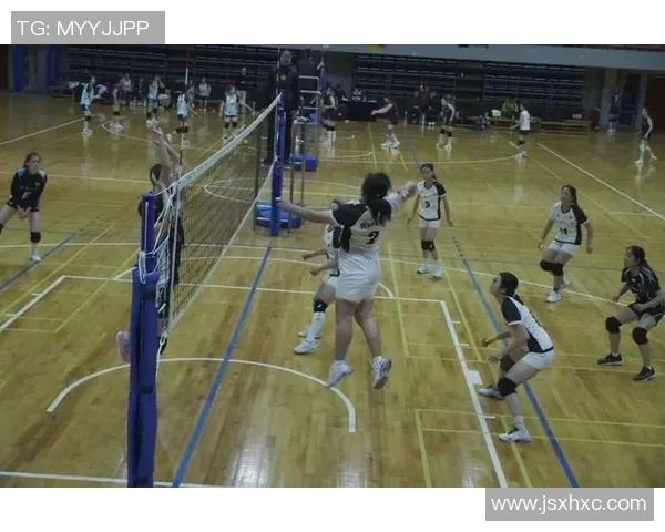 南京排球队的节奏与魅力探讨：聚焦排球运动的热情与团队精神